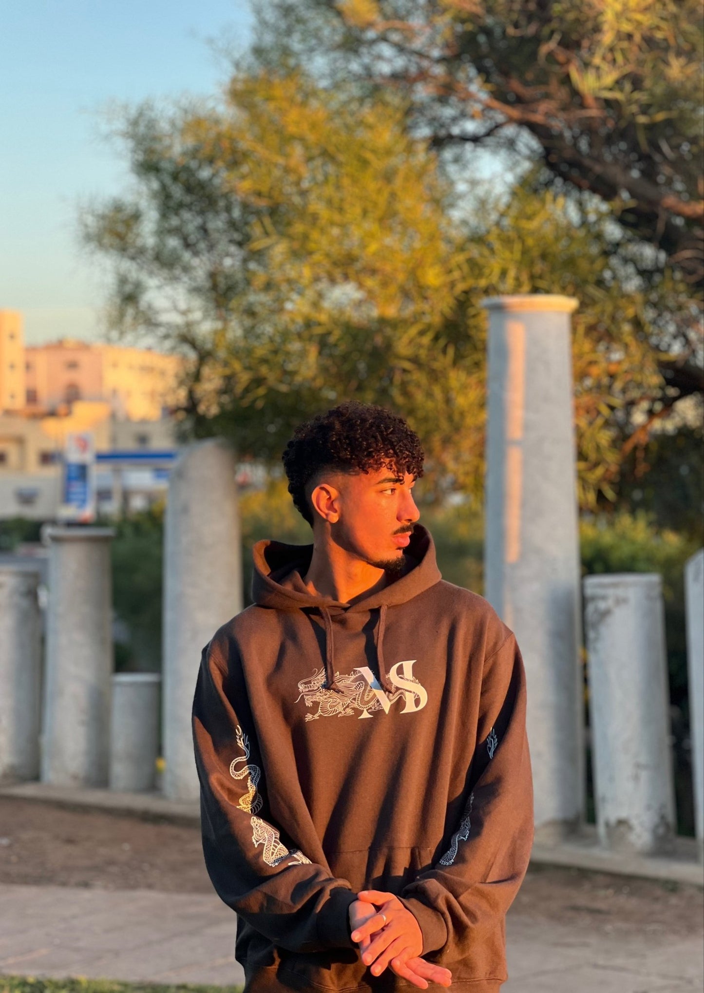 Dragon Dream Hoodie - MIRASAFARI