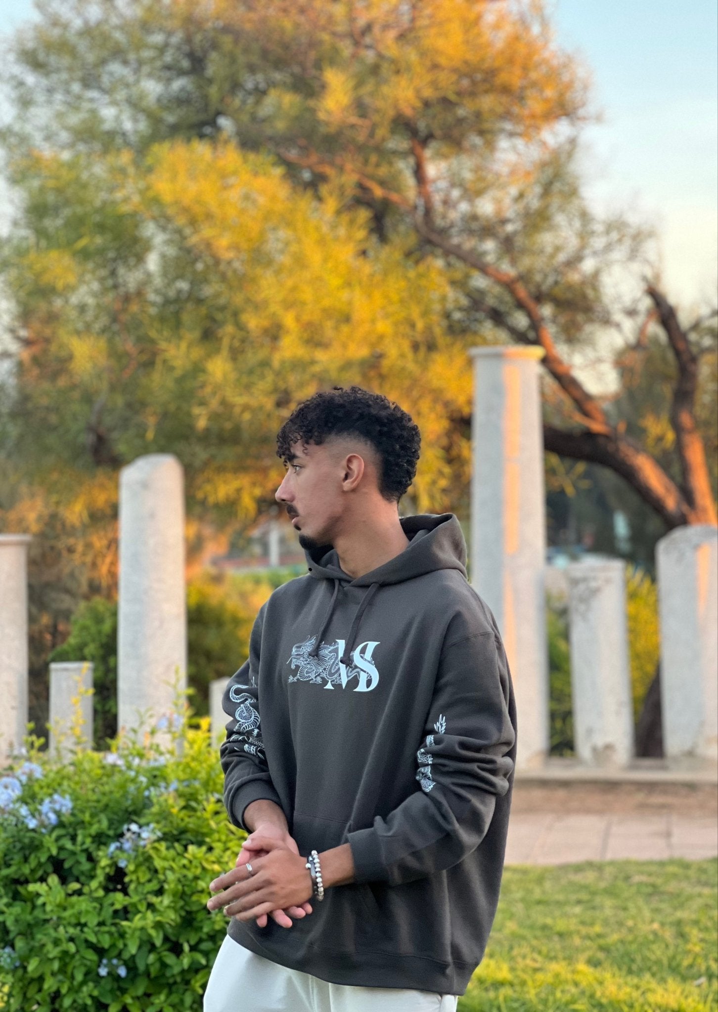 Dragon Dream Hoodie - MIRASAFARI